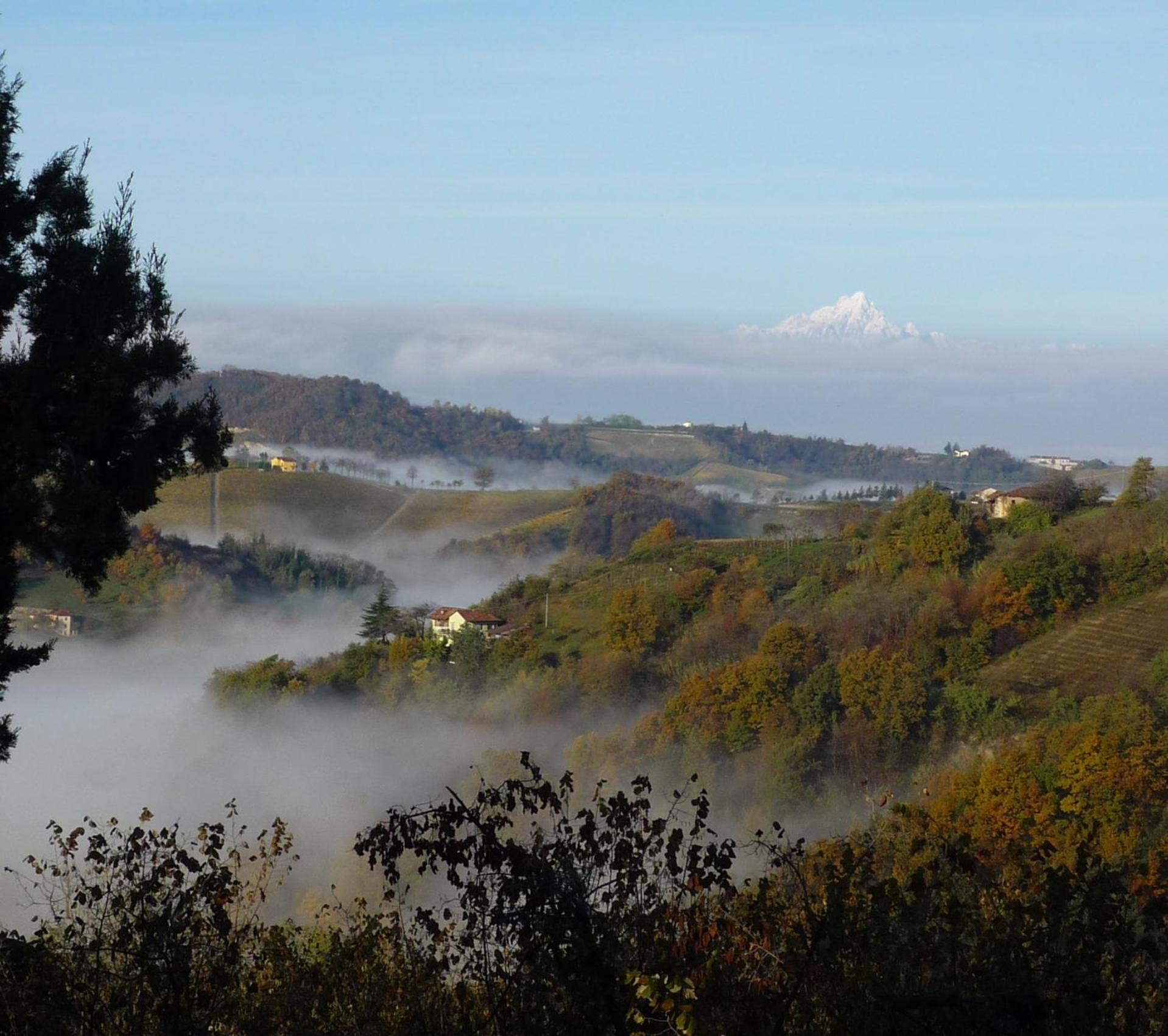Cascina Sant'Eufemia Villa Sinio Eksteriør bilde