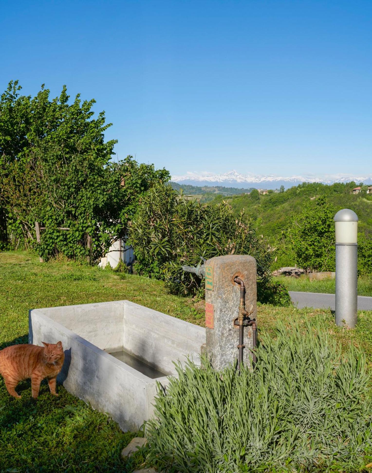 Cascina Sant'Eufemia Villa Sinio Eksteriør bilde