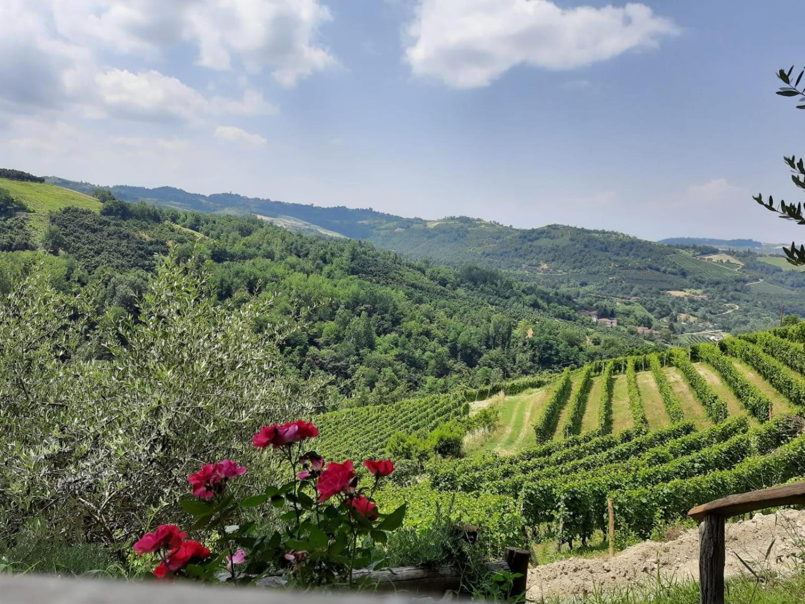 Cascina Sant'Eufemia Villa Sinio Eksteriør bilde